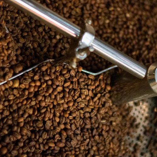 meilleur café bordeaux torréfacteur blend