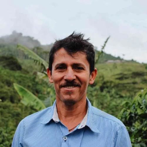 café de spécialité torréfacteur bordeaux