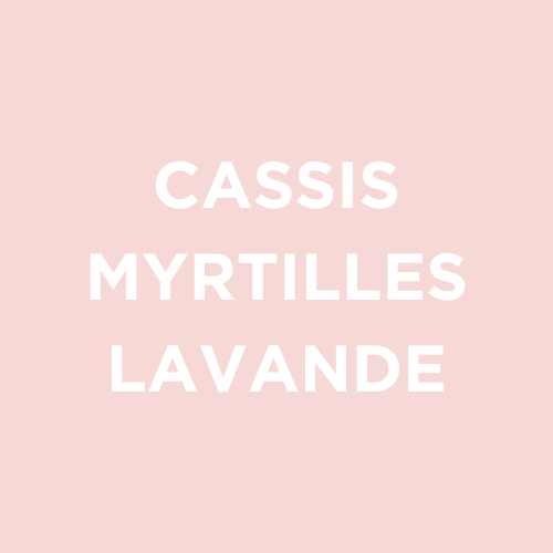 café de spécialité torréfacteur bordeaux