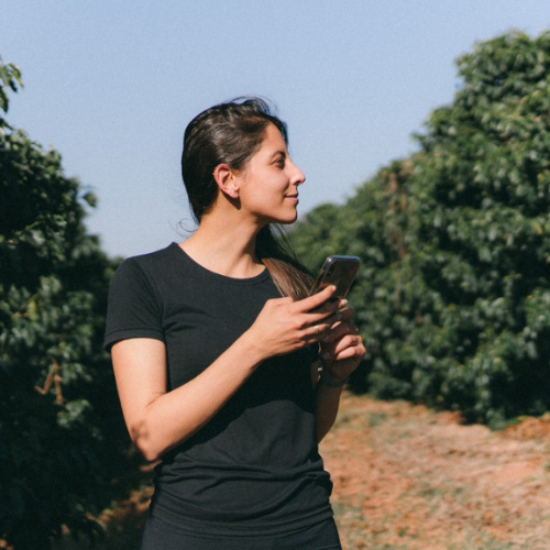 Café de spécialité Bordeaux Brésil torréfié à Bordeaux