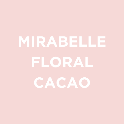 Café de spécialité Bordeaux Brésil torréfié à Bordeaux